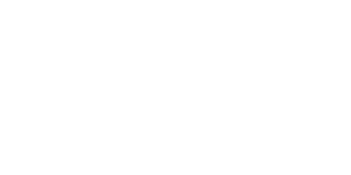 Logo INTAP S.A.S